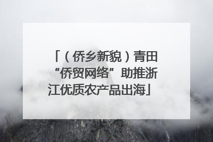 （侨乡新貌）青田“侨贸网络”助推浙江优质农产品出海