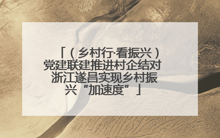 （乡村行·看振兴）党建联建推进村企结对 浙江遂昌实现乡村振兴“加速度”