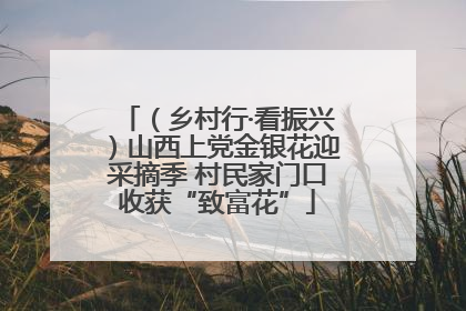 （乡村行·看振兴）山西上党金银花迎采摘季 村民家门口收获“致富花”