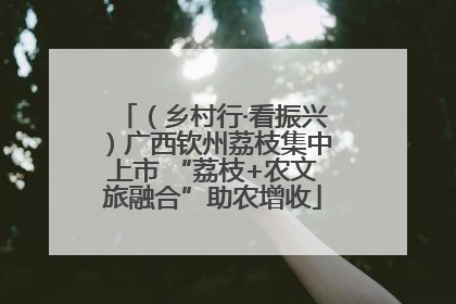 （乡村行·看振兴）广西钦州荔枝集中上市 “荔枝+农文旅融合”助农增收