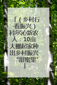 （乡村行·看振兴）科尔沁新农人：10亩大棚起家种出乡村振兴“甜蜜果”