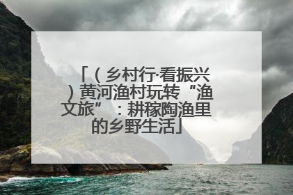（乡村行·看振兴）黄河渔村玩转“渔文旅”：耕稼陶渔里的乡野生活