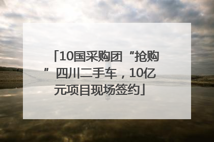 10国采购团“抢购”四川二手车，10亿元项目现场签约