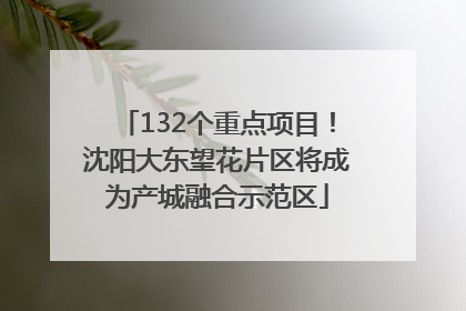 132个重点项目！沈阳大东望花片区将成为产城融合示范区