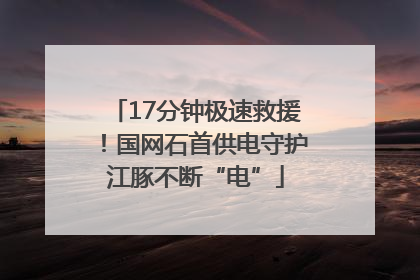 17分钟极速救援！国网石首供电守护江豚不断“电”