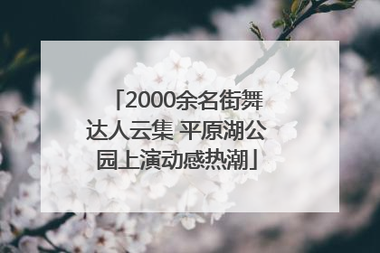 2000余名街舞达人云集 平原湖公园上演动感热潮