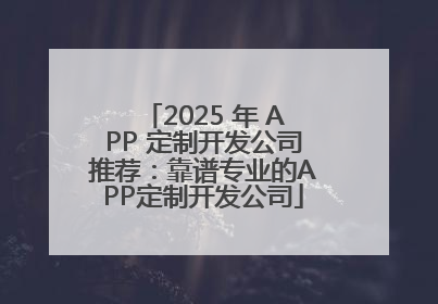 2025 年 APP 定制开发公司推荐：靠谱专业的APP定制开发公司