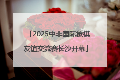 2025中非国际象棋友谊交流赛长沙开幕