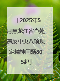 2025年5月黑龙江省查处违反中央八项规定精神问题805起