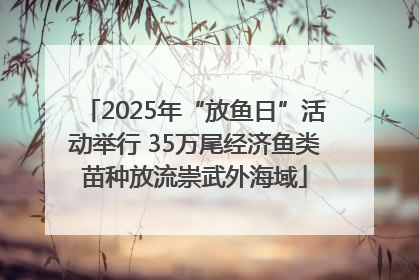 2025年“放鱼日”活动举行 35万尾经济鱼类苗种放流崇武外海域