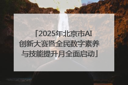 2025年北京市AI创新大赛暨全民数字素养与技能提升月全面启动