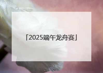 2025端午龙舟赛