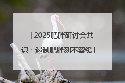 2025肥胖研讨会共识：遏制肥胖刻不容缓
