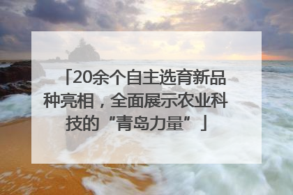 20余个自主选育新品种亮相，全面展示农业科技的“青岛力量”