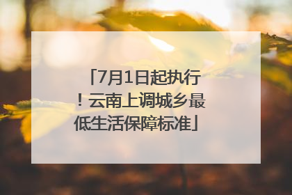 7月1日起执行！云南上调城乡最低生活保障标准