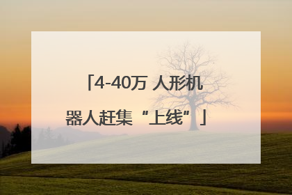 4-40万 人形机器人赶集“上线”