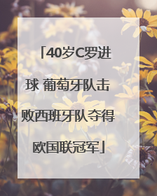 40岁C罗进球 葡萄牙队击败西班牙队夺得欧国联冠军