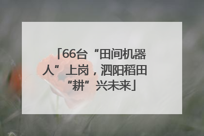 66台“田间机器人”上岗，泗阳稻田“耕”兴未来