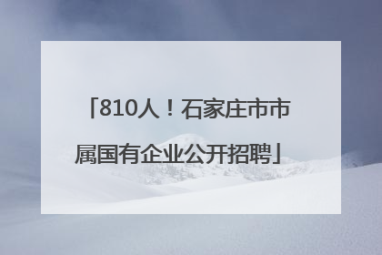 810人！石家庄市市属国有企业公开招聘