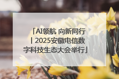 AI领航 向新同行丨2025安徽电信数字科技生态大会举行