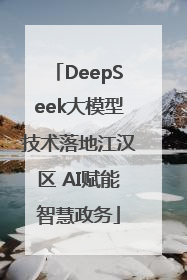 DeepSeek大模型技术落地江汉区 AI赋能智慧政务