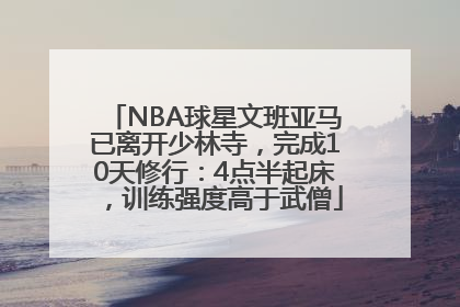 NBA球星文班亚马已离开少林寺，完成10天修行：4点半起床，训练强度高于武僧